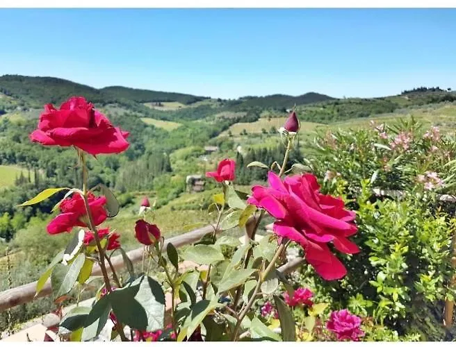 Iris Nel Borgo Greve in Chianti