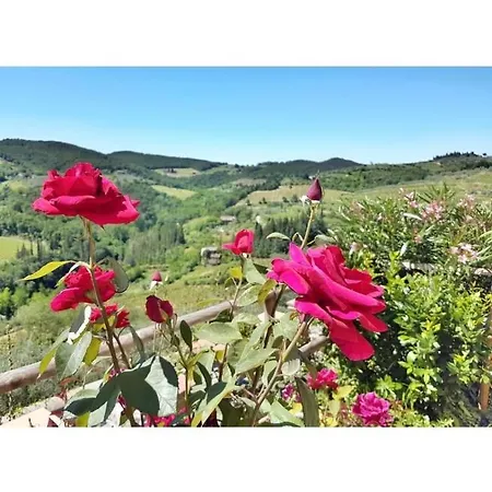 Iris Nel Borgo Greve in Chianti